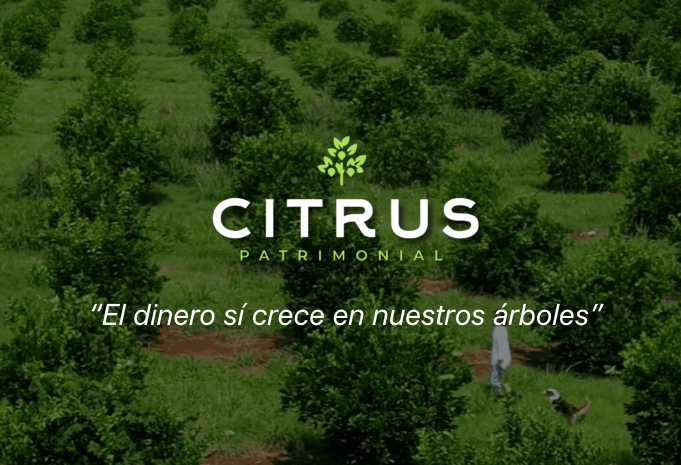 Citrus Patrimonial Opiniones