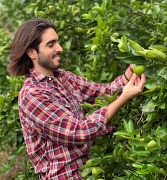 Citrus Patrimonial Es confiable?
