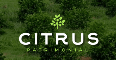 Citrus Patrimonial¿Es Confiable? Los Inversionistas Tienen la Llave para Unirse a una Industria Global