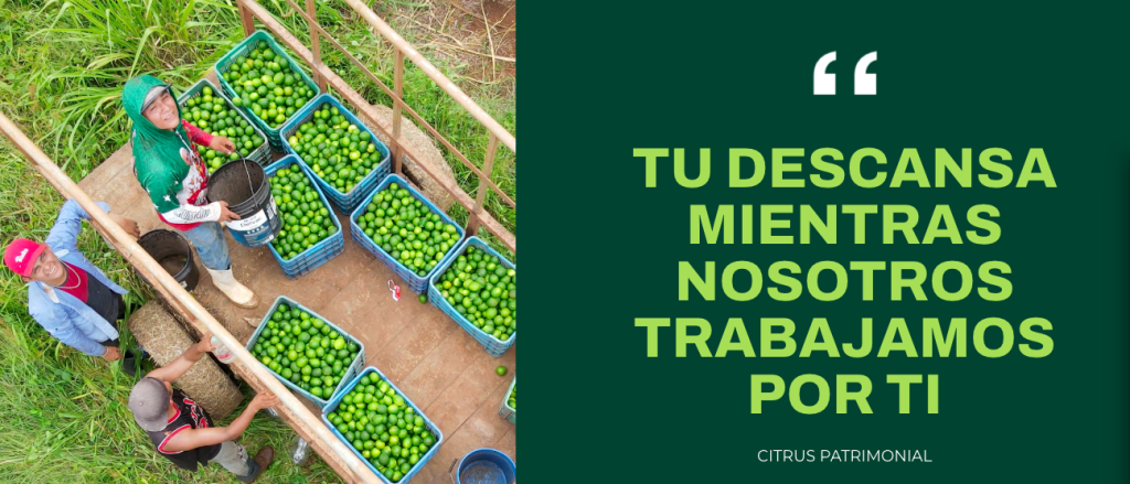 Citrus Patrimonial¿Es Confiable?