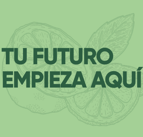 Inversión Agricola en Yucatán